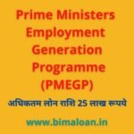 PMEGP Loan Scheme