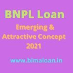 BNPL Loan Emerging & Attractive Concept 2021